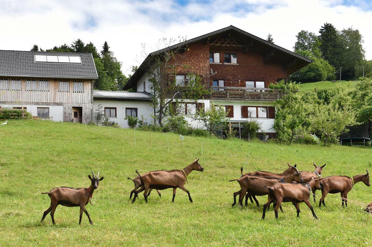Ferien In Feld 109 Apartment Langenegg Bagian luar foto